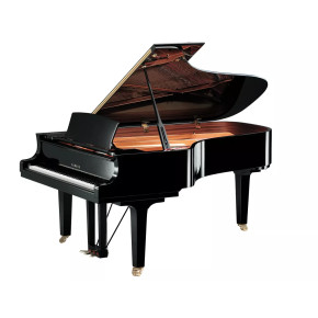 Yamaha C7X PE - prodloužená záruka 5 let Yamaha C7X PE - prodloužená záruka 5 let