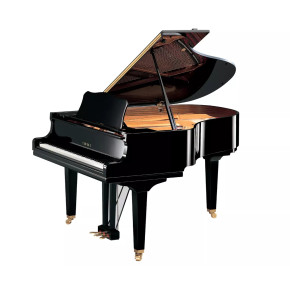 Yamaha GC2 PE - prodloužená záruka 5 let Yamaha GC2 PE - prodloužená záruka 5 let