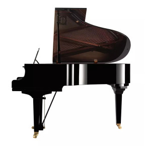 Yamaha GC2 PE - prodloužená záruka 5 let Yamaha GC2 PE - prodloužená záruka 5 let