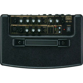 Roland AC 33