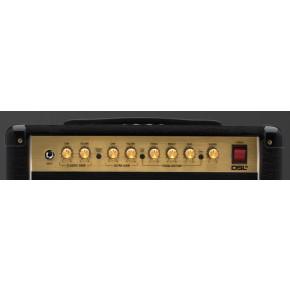 Marshall DSL5CR