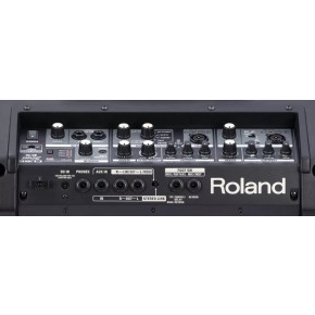 Roland CUBE Street EX