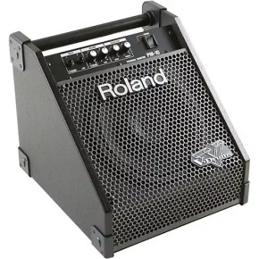 Roland PM 100