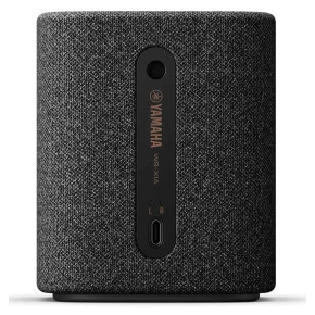 Yamaha True X Speaker 1A WS-X1A Carbon Gray