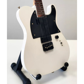 PPT-MK182 Jim Root Slipknot Fender Jim Root Telecaster PPT-MK182 Jim Root Slipknot Fender Jim Root Telecaster
