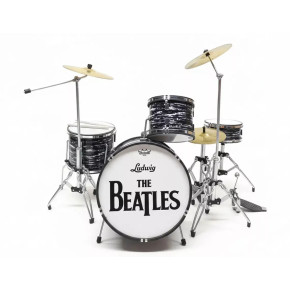 Music legends PPT-MDS001 Ludwig The Beatles