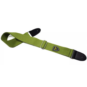 P&amp;amp;P Music AGSP-200 Green