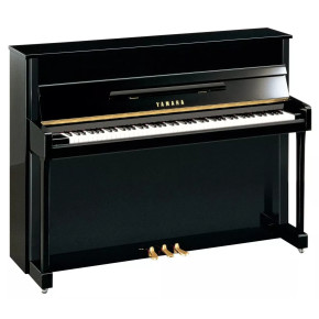 Yamaha B2 PE - prodloužená záruka 5 let Yamaha B2 PE - prodloužená záruka 5 let