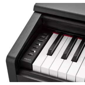 Yamaha YDP 145 B SET1 - prodloužená záruka 3 roky