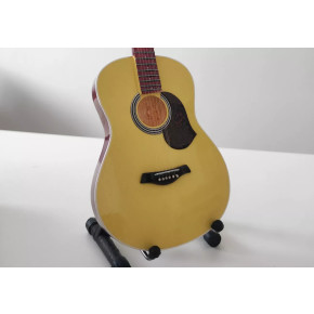 PPT-MK204 Tommy Emmanuel Maton EBG808TE PPT-MK204 Tommy Emmanuel Maton EBG808TE