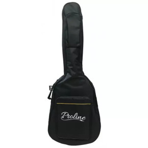 Proline 5 elektrická kytara Proline 5 elektrická kytara