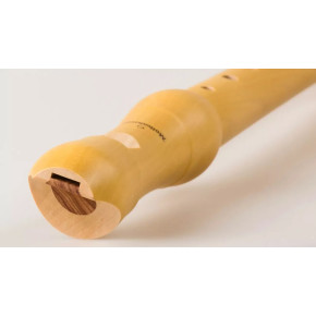 Möllenhauer 1042 New Student NTP Möllenhauer 1042 New Student NTP