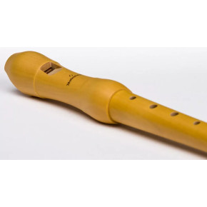 Möllenhauer 1042 New Student NTP Möllenhauer 1042 New Student NTP