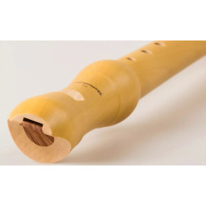 Möllenhauer 1042 New Student NTP Möllenhauer 1042 New Student NTP