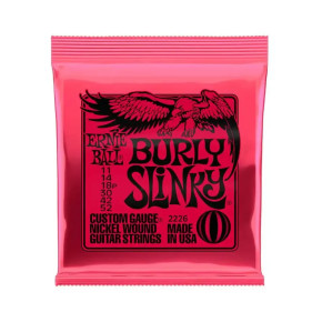 Ernie Ball 2226