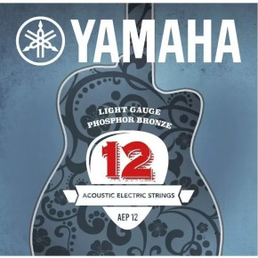 Yamaha AEP 12