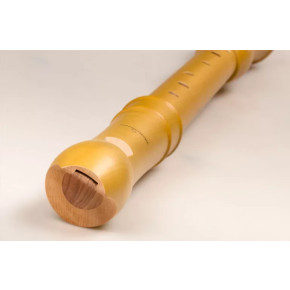 Möllenhauer 2406 Canta