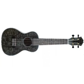 FZone FZU-022C BK Ash