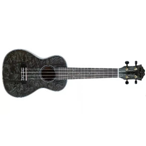 FZone FZU-022C BK Ash