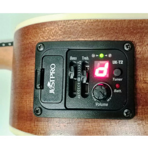 Izzo IZ300CS EQ