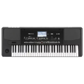 Korg Pa300