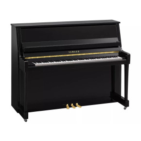 Yamaha B20 PE - prodloužená záruka 5 let