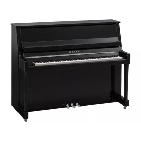 Yamaha B20 PEC - prodloužená záruka 5 let