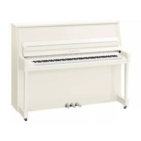 Yamaha B20 PWHC - prodloužená záruka 5 let