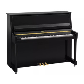 Yamaha B30 PE - prodloužená záruka 5 let