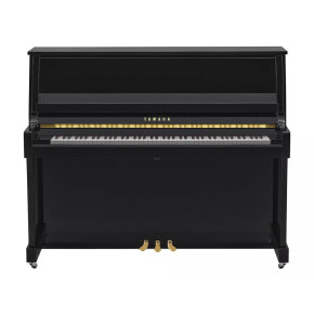 Yamaha B30 PE - prodloužená záruka 5 let