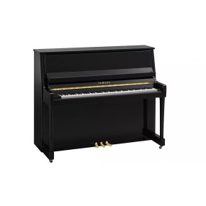 Yamaha B30 PE - prodloužená záruka 5 let