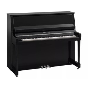 Yamaha B30 PEC - prodloužená záruka 5 let