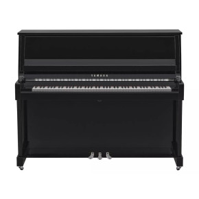 Yamaha B30 PEC - prodloužená záruka 5 let
