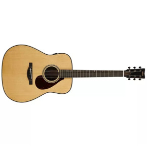 Yamaha FG9RX - prodloužená záruka 3 roky