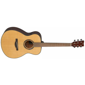 Yamaha TAS1E NT - prodloužená záruka 3 roky