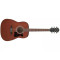 Ibanez V 50NJP OPN