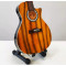 PPT-MK136 Taylor Swift Taylor PS14ce