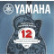 Yamaha AEP 12